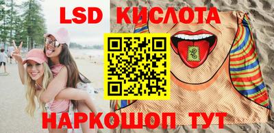 2c-b Кингисепп