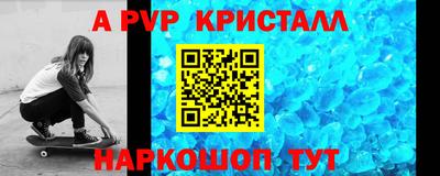 2c-b Кингисепп