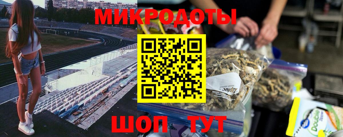 Ессентуки  Галлюциногенные грибы Psilocybine cubensis  Вход с VPN 